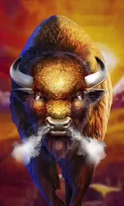 Buffalo Rampage